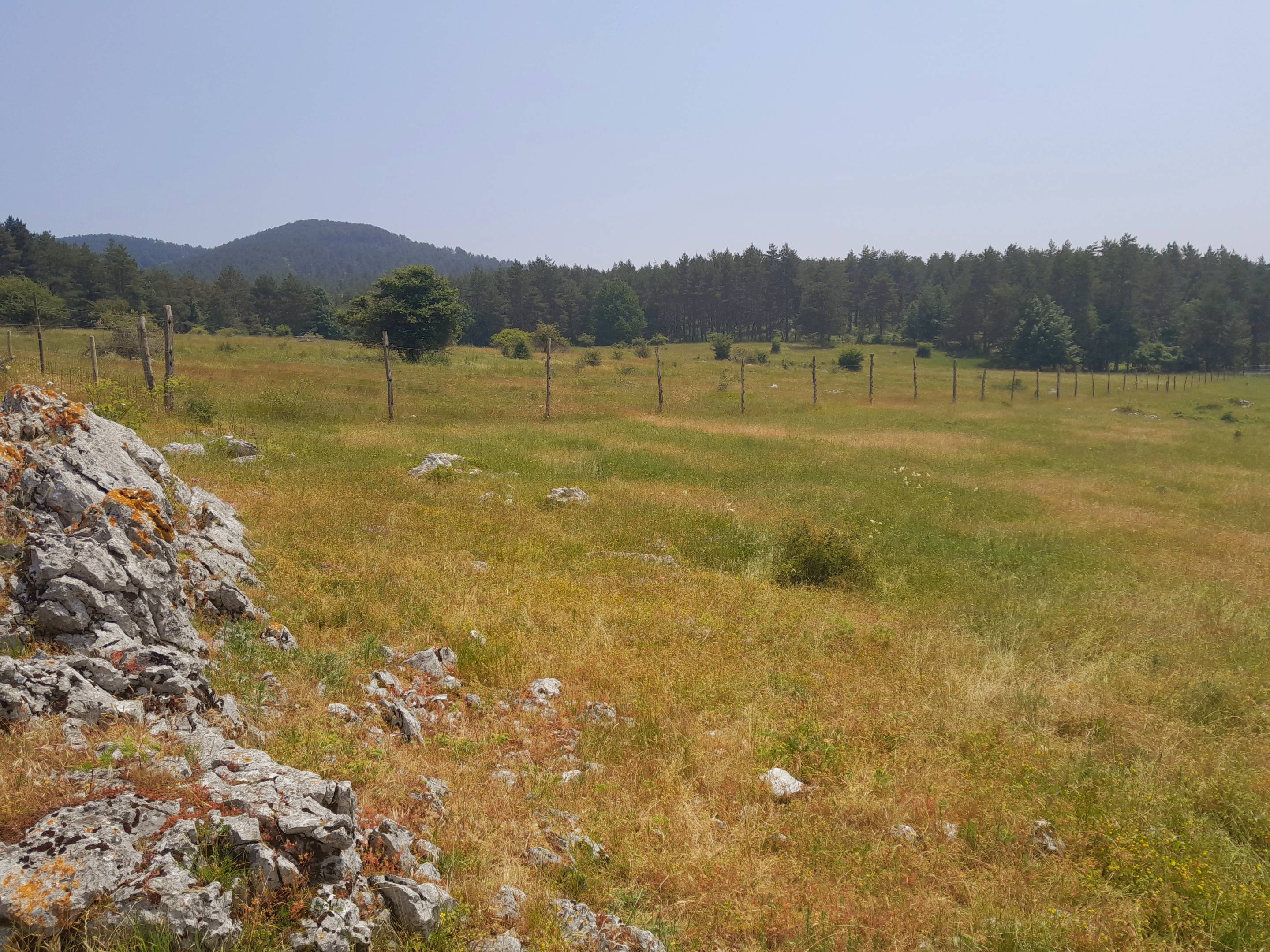 subject: a food station in an underprivileged neighborhood