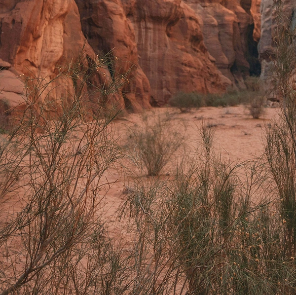 TTPA - Homepage - Hero Section - Lefthand Image - Top Left Corner