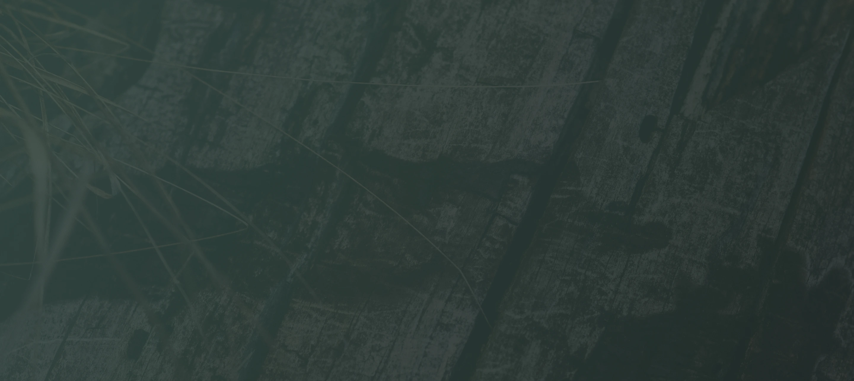 TTPA - Homepage - Support - Image Background