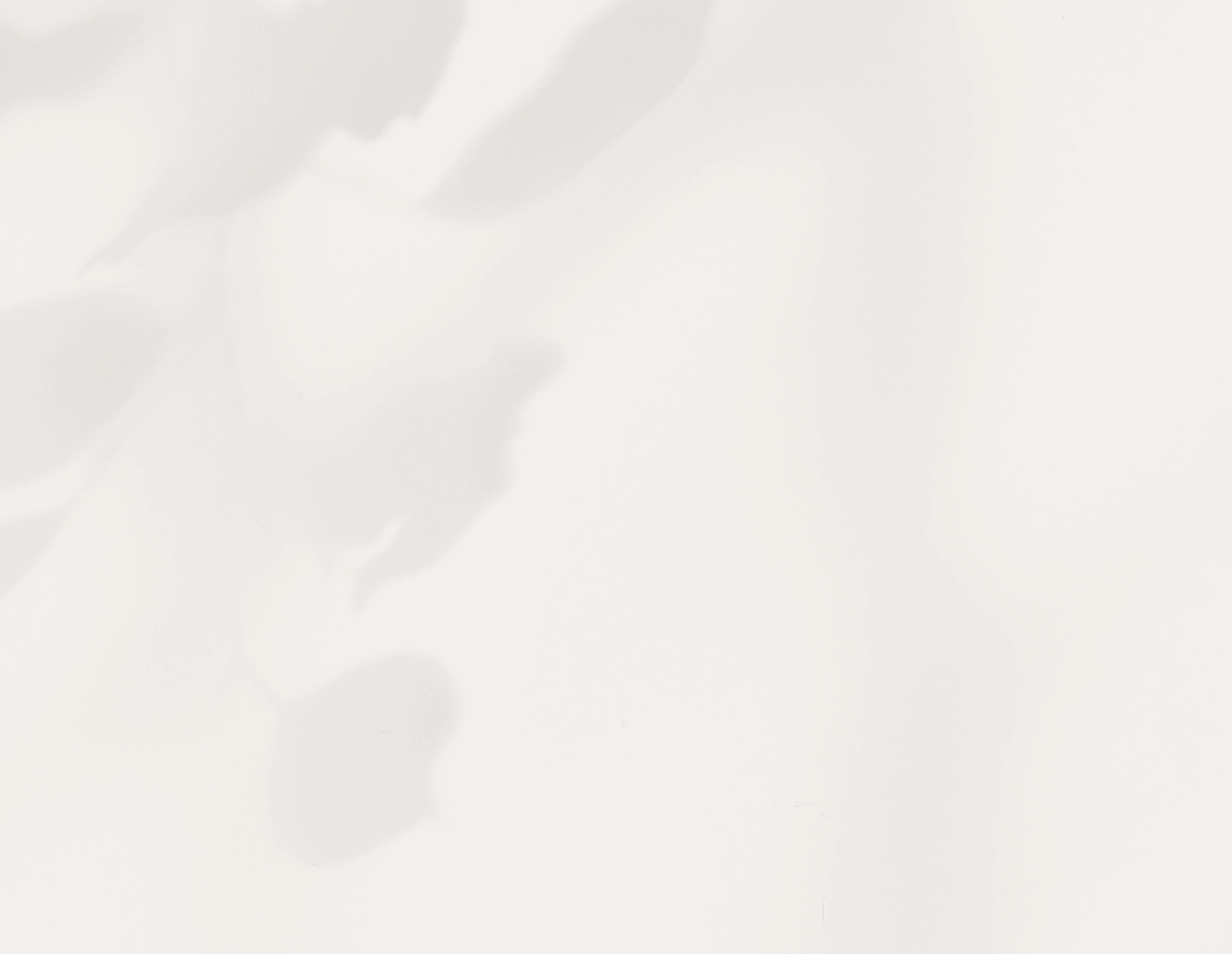 TTPA - Homepage - The Academy - Image Background