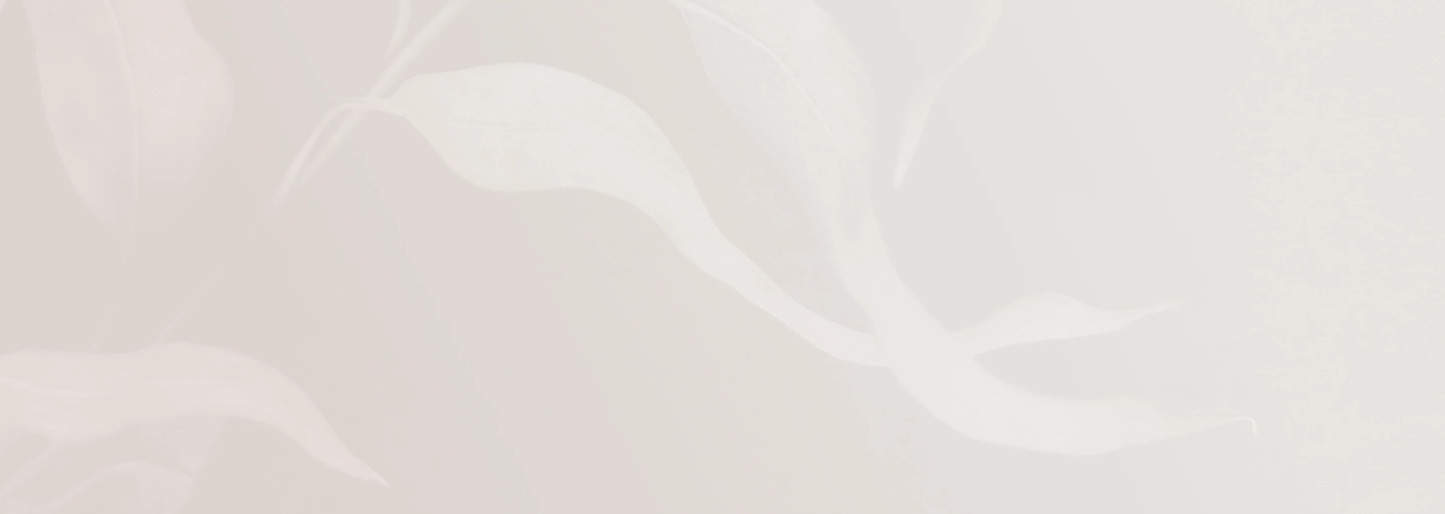 TTPA - Homepage - Lead Magnet - Image Background