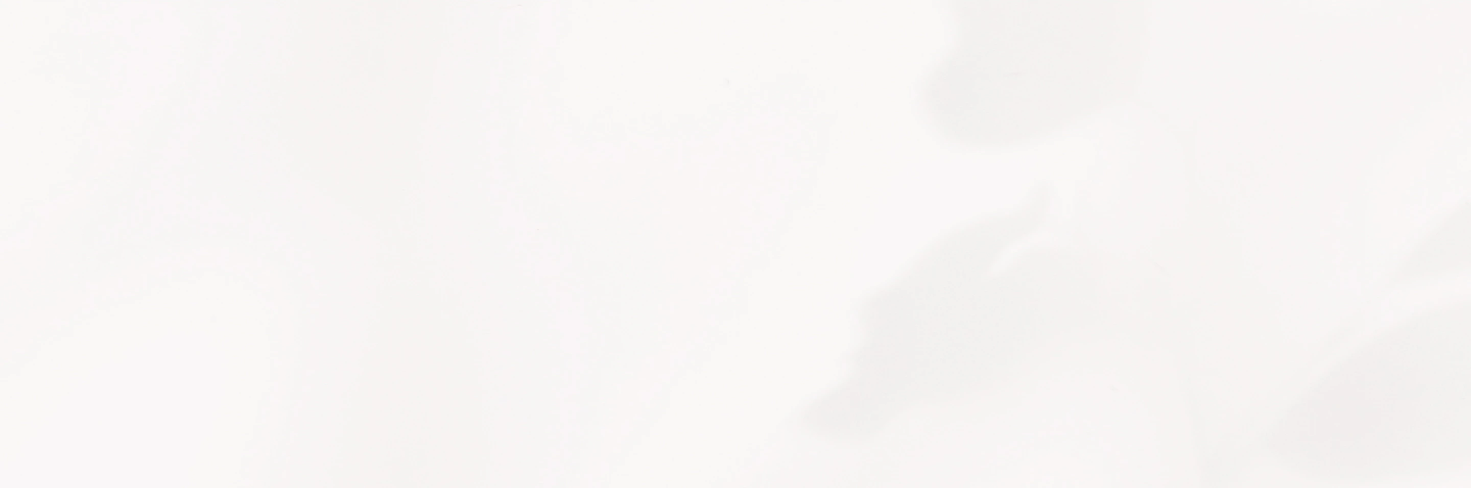 TTPA - Programs - Pricing - Image Background