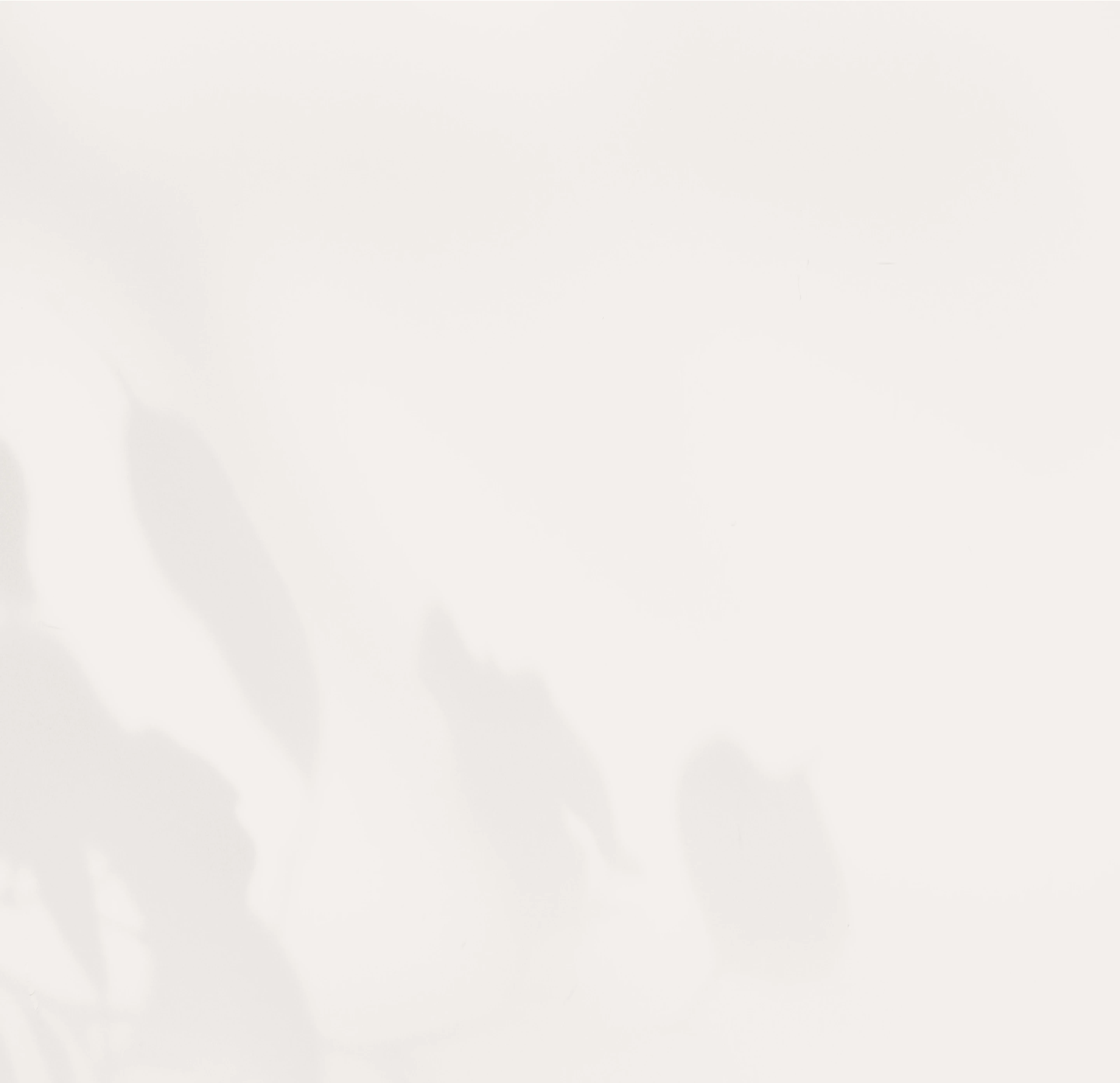 TTPA - Programs - FAQ - Image Background