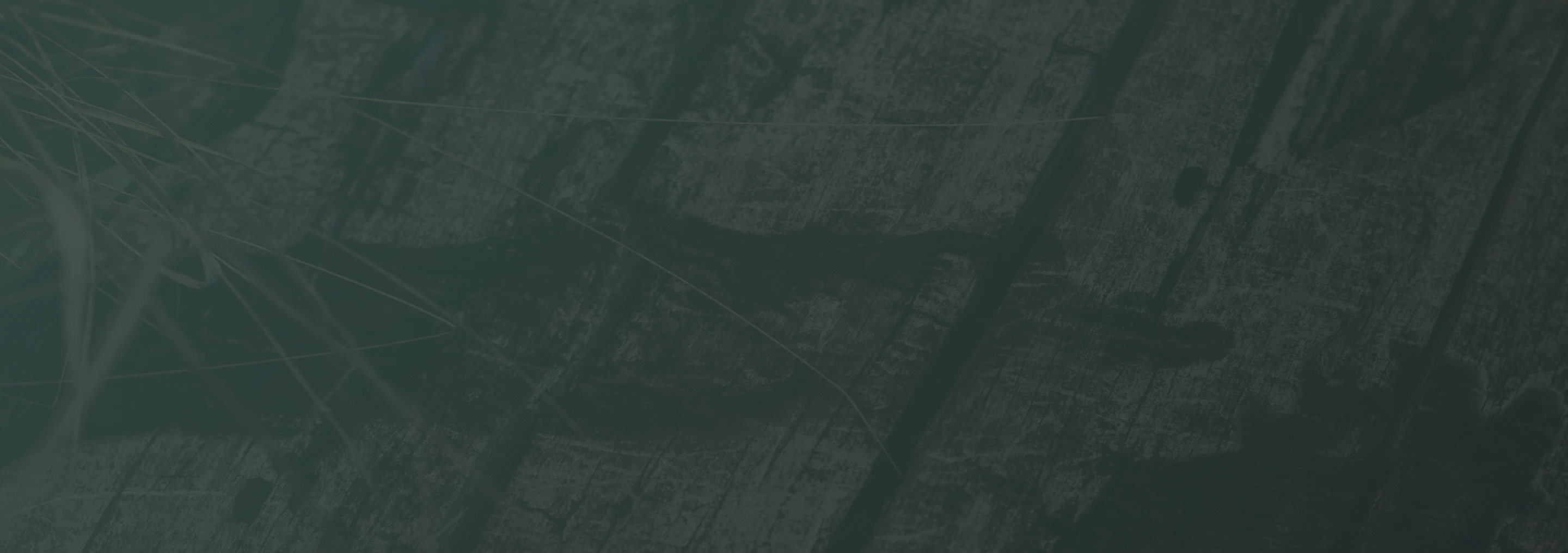 TTPA - Tools & Resources - CTA Section - Image Background