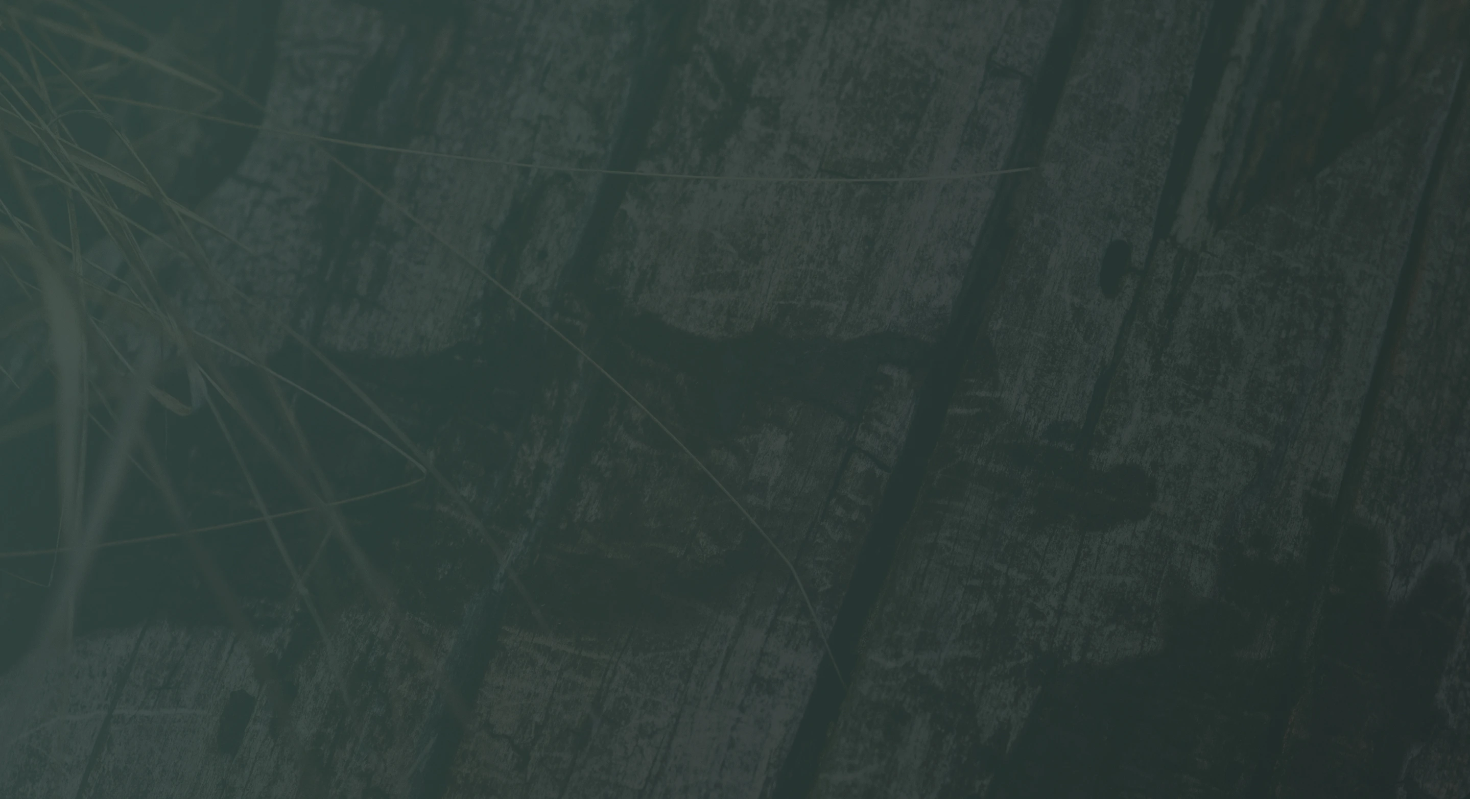 TTPA - About - Speaking & Podcasts - Image Background