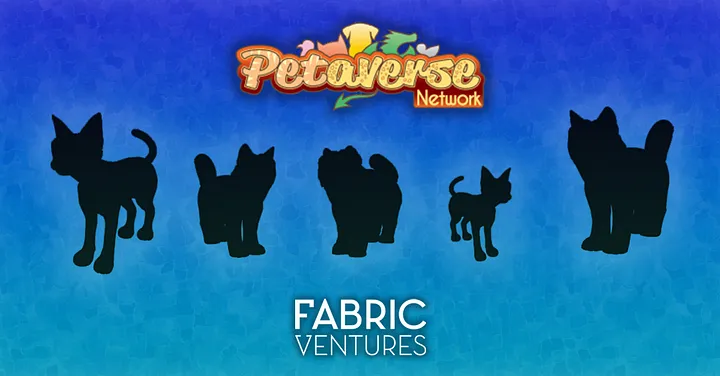 Why we Invested in the Petaverse Network Main Image