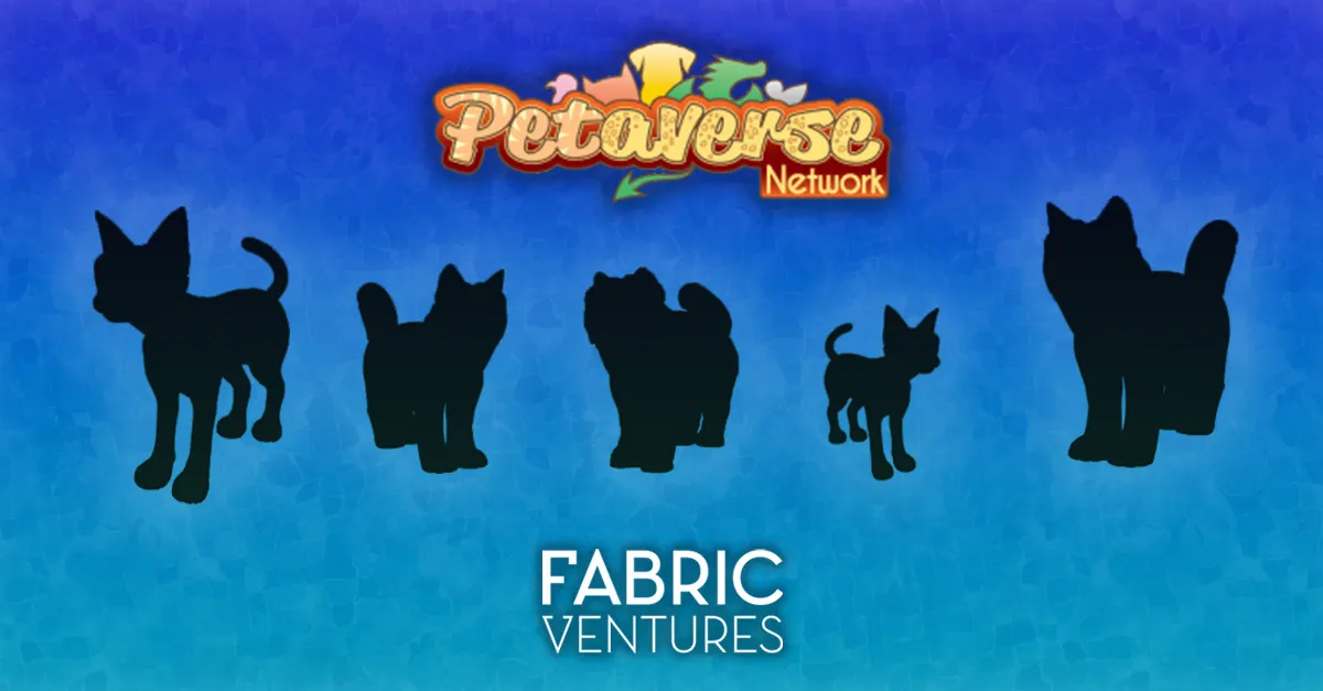 Why we Invested in the Petaverse Network Image 0