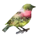 Robin Markets logo