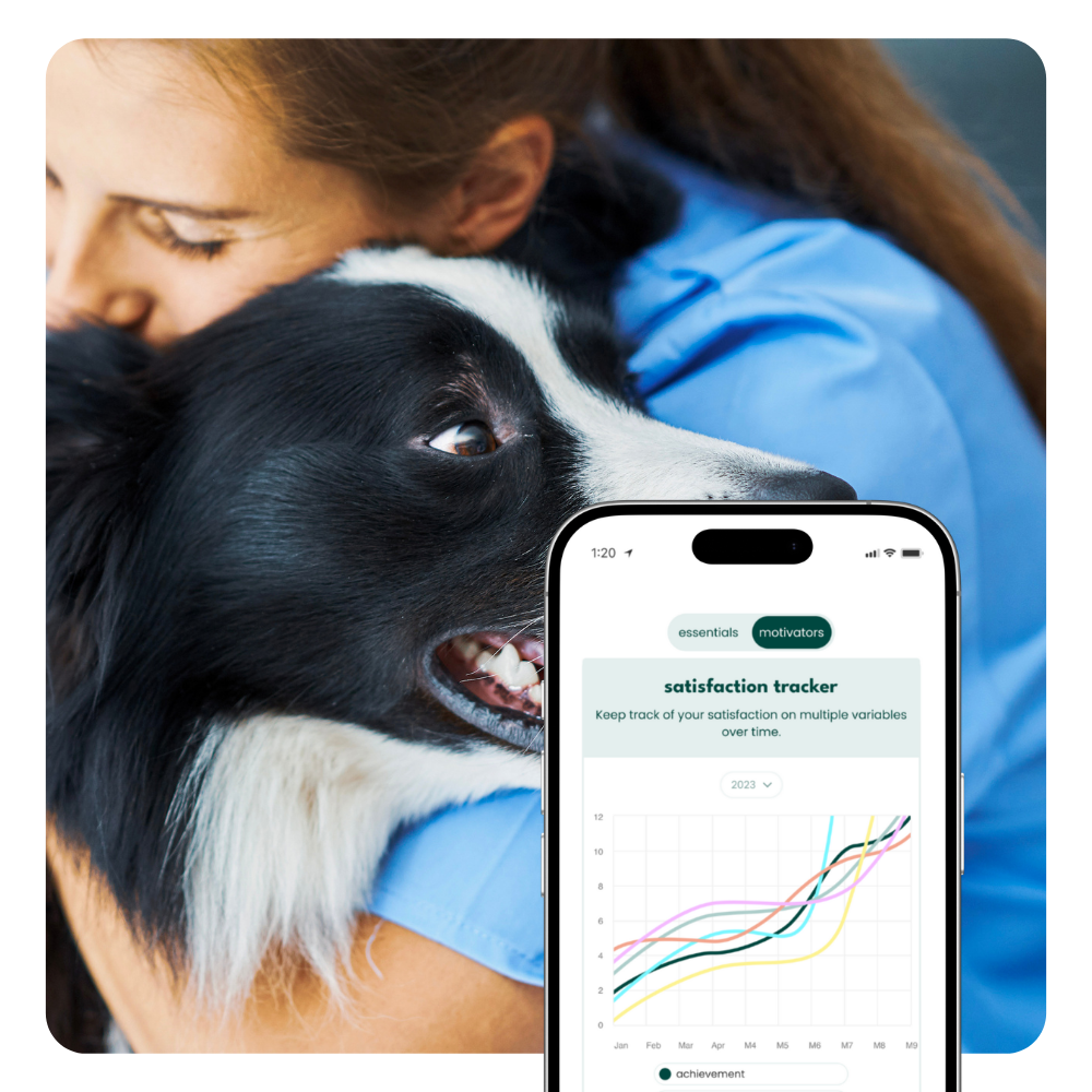 image of a routine checkup being performed (for a veterinary clinic)