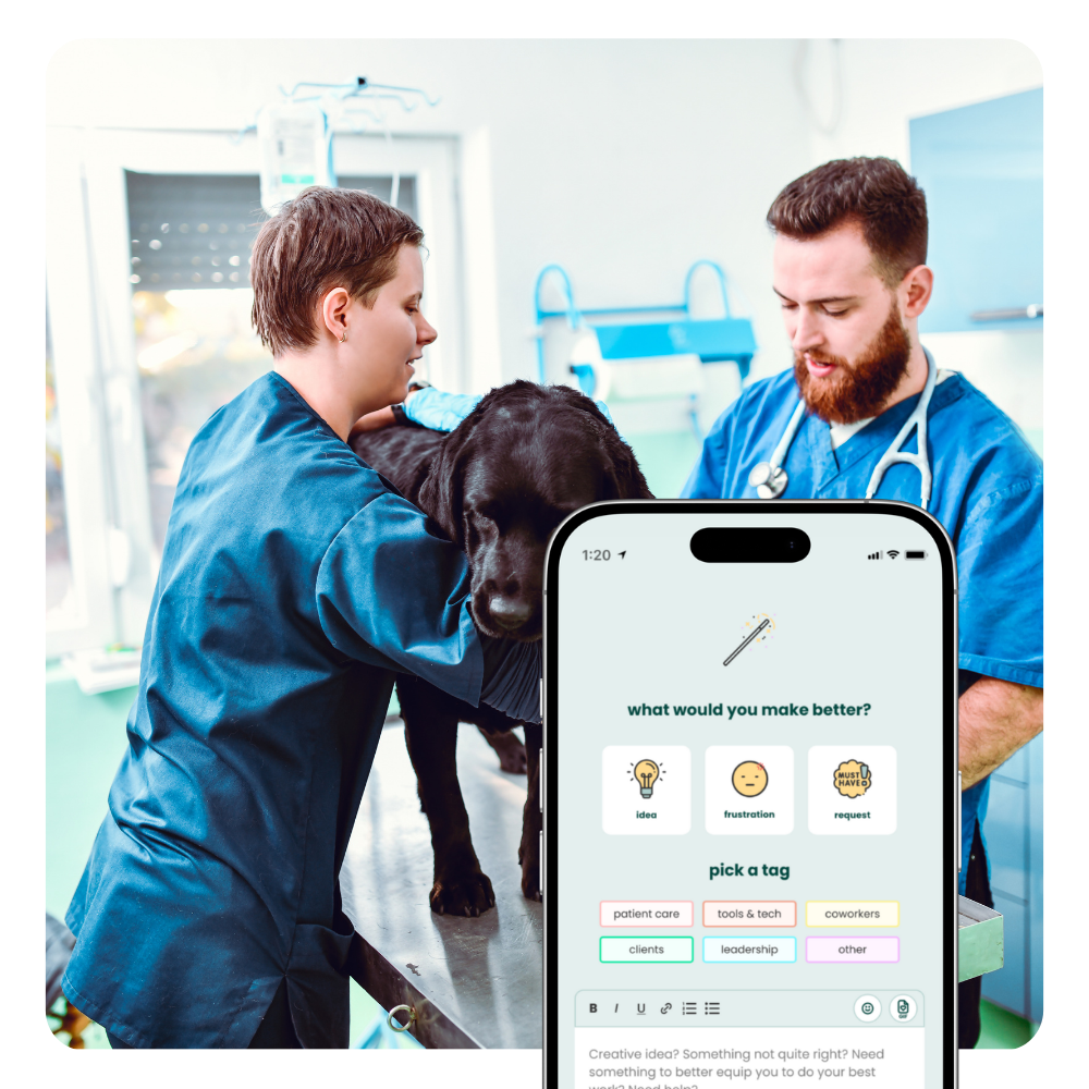 [interface] screenshot of the dashboard interface (for an erp company)