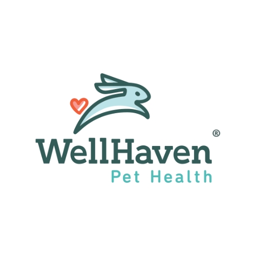 image of a routine checkup being performed (for a veterinary clinic)