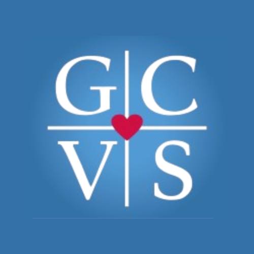 image of a veterinarian examining a dog