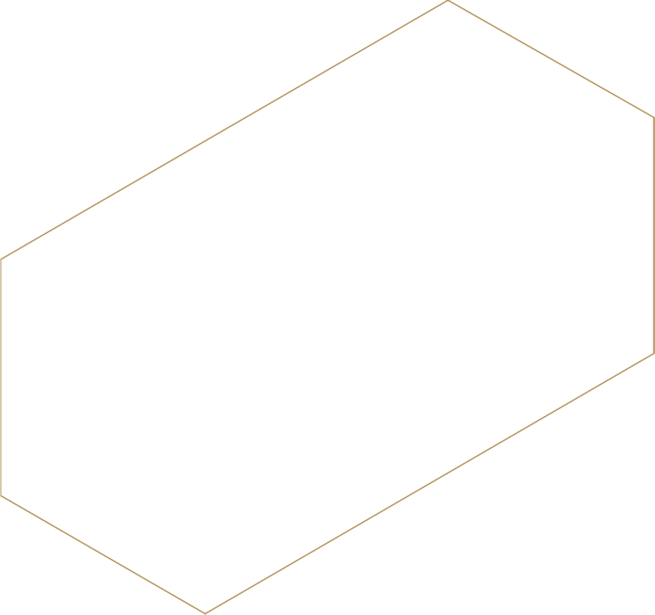 Abstract geometric design featuring a large gold hexagon with a black hexagonal cutout in the centre on a white background.