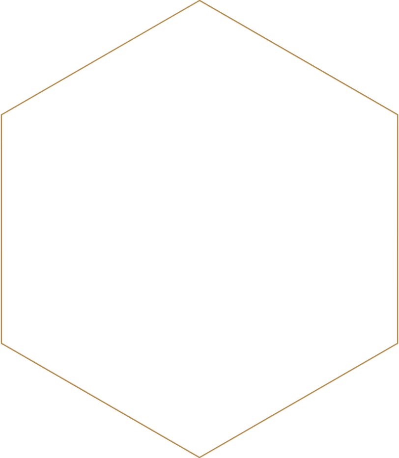 Black hexagon shape centered on a mustard brown background.