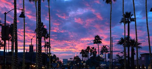 Scottsdale Segway Tours