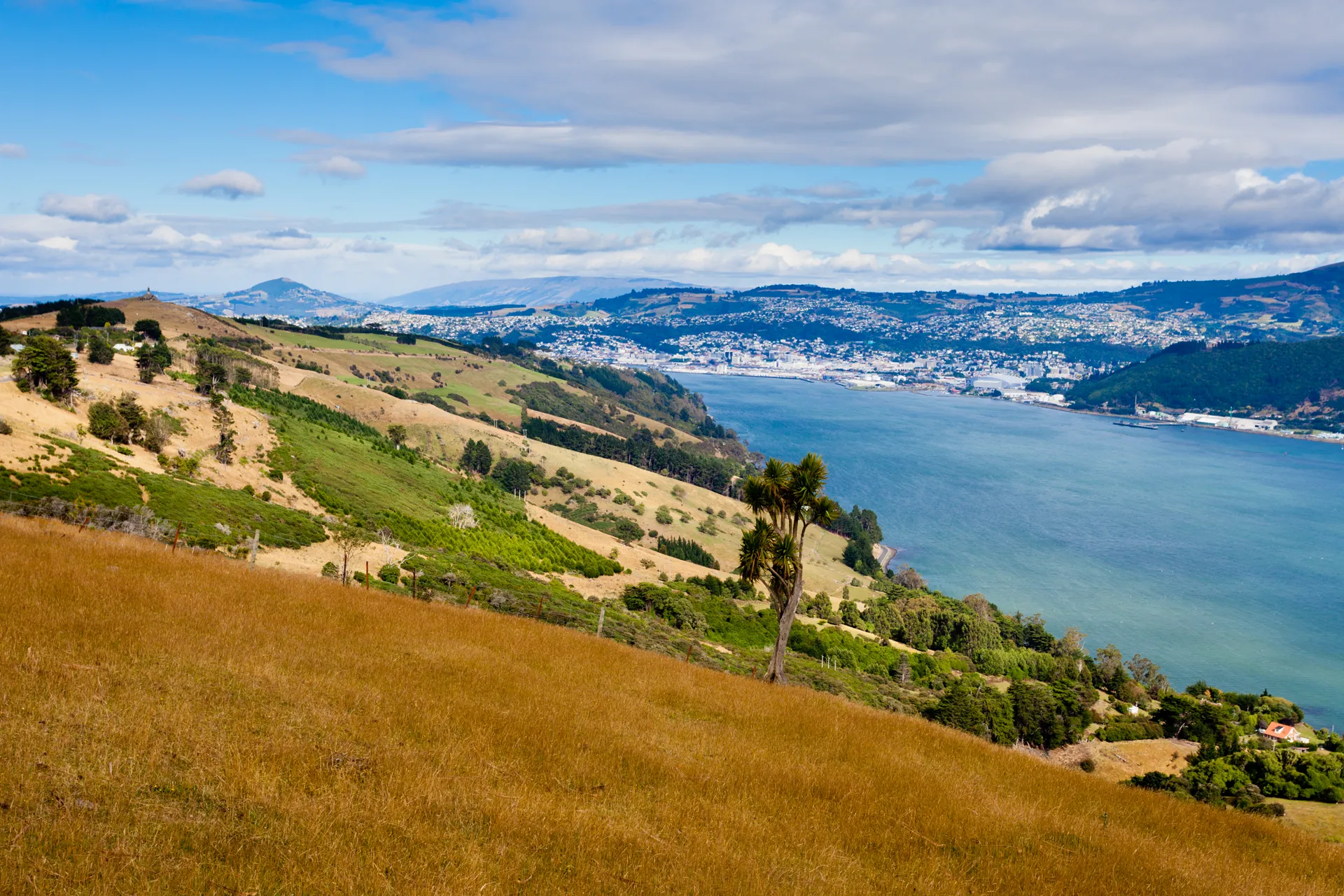 Overlooking Dunedin harbour.