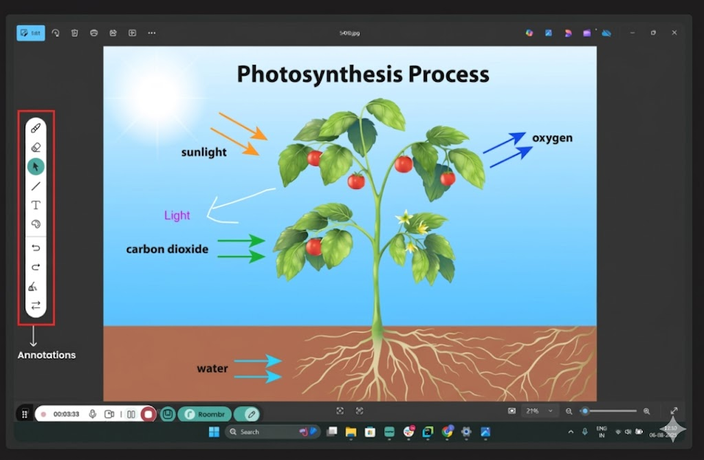 Roombr’s interactive whiteboard showing photosynthesis process picture and various other features 