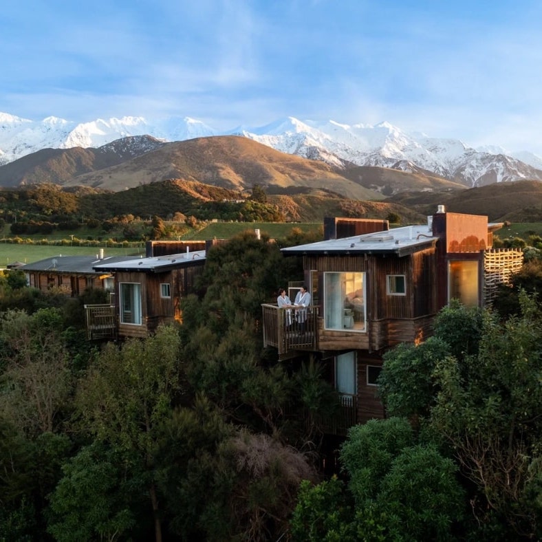 Hapuku Tree House Suites Kaikoura New Zealand | Bloomoon DMC luxury travel