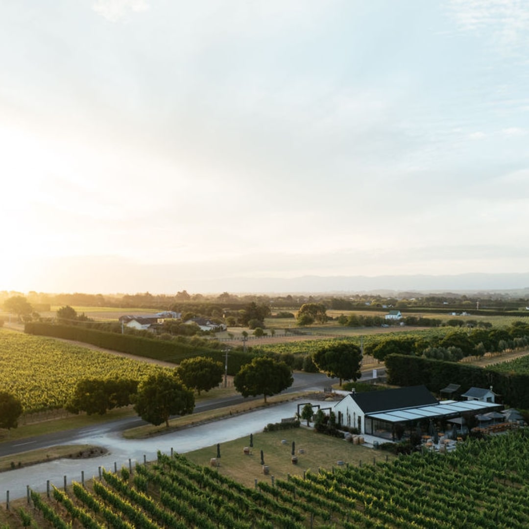 Private Wine Tour Martinborough New Zealand | Bloomoon DMC luxury travel
