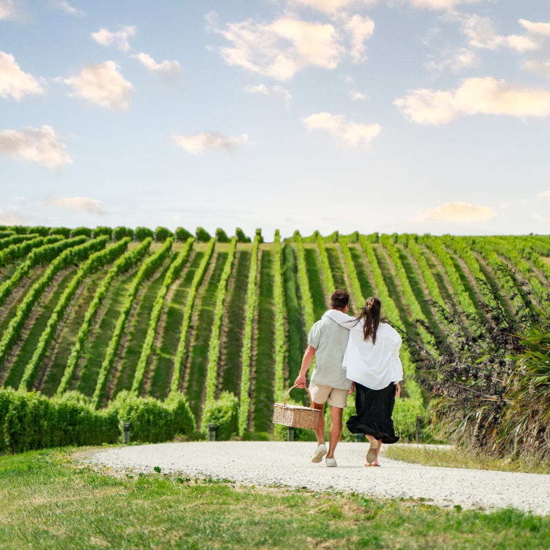 Picnic at Winery Marlborough New Zealand | Bloomoon DMC luxury travel