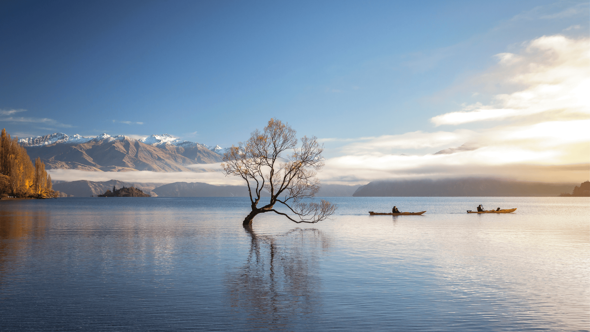 Wanaka Tree Luxury NZ Travel