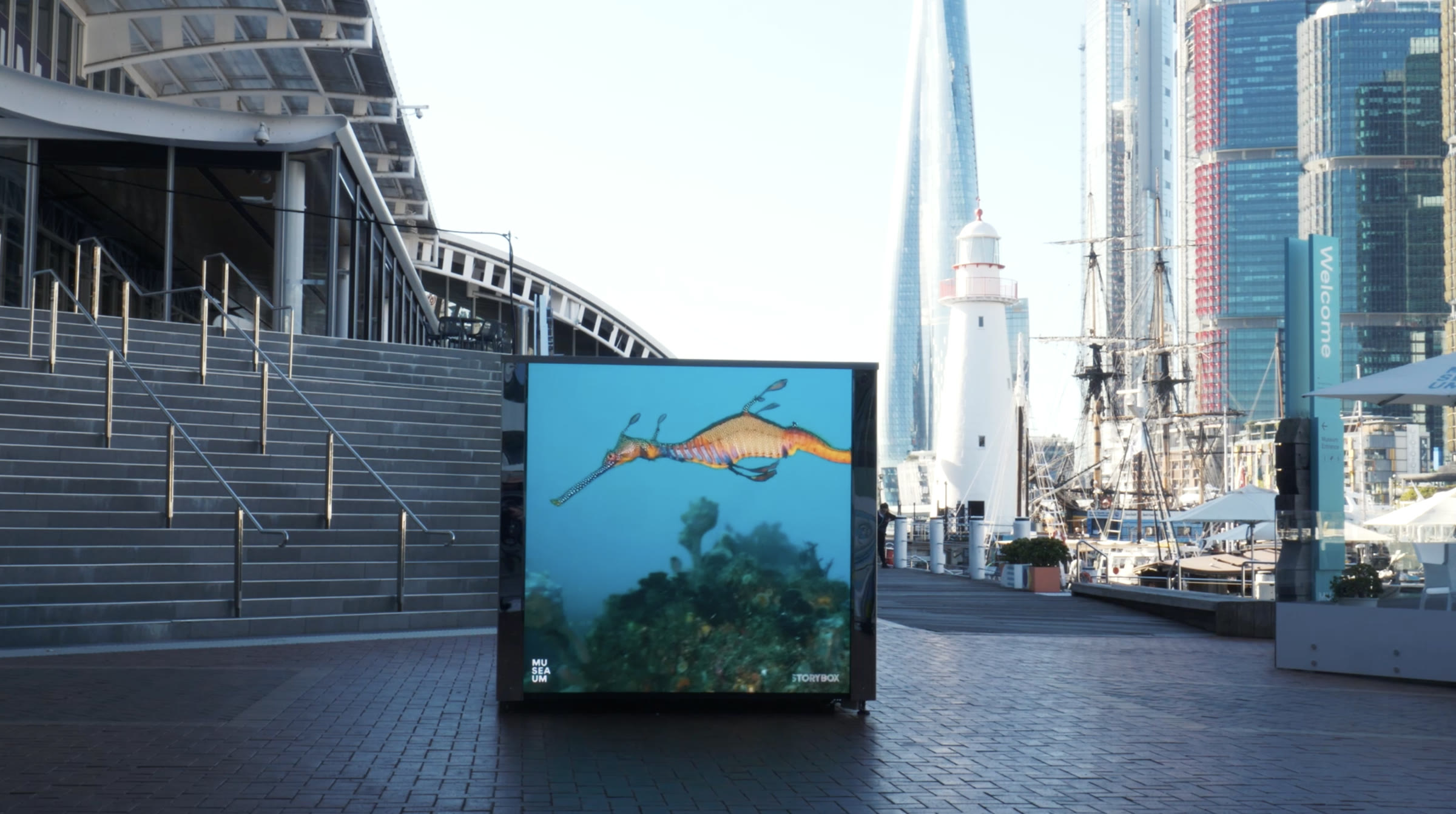 The STORYBOX cube on the forecourt at the Australian National Maritime Museum, showing a weedy seadragon, with the Endeavour replica and Darling Harbour behind.