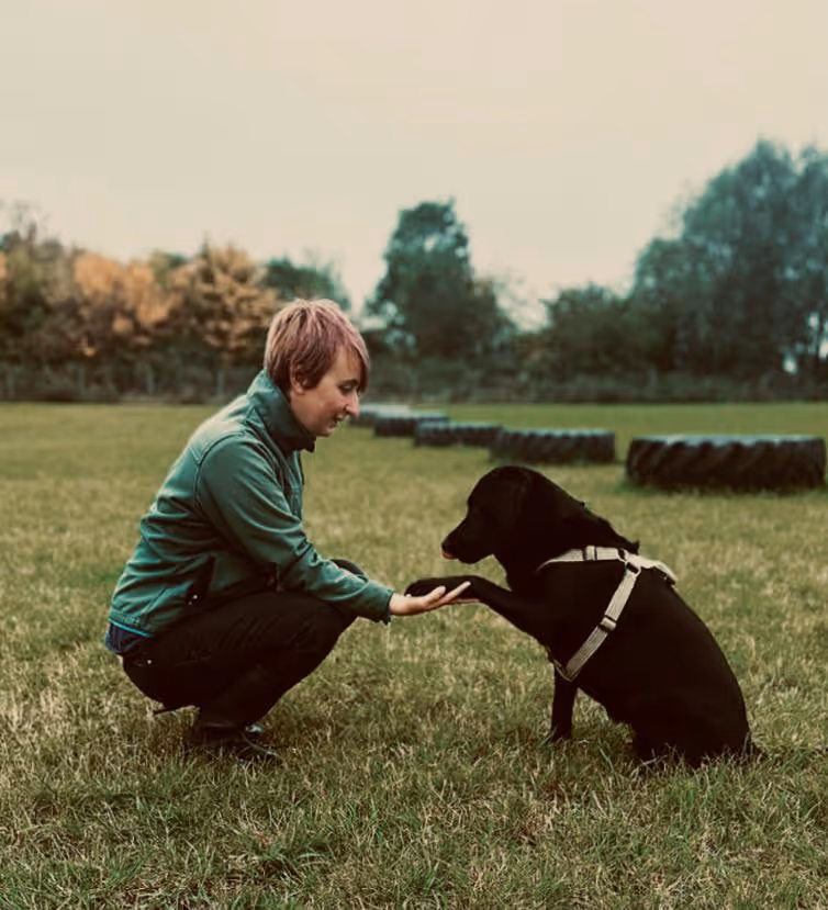 Obedience Training Danbury