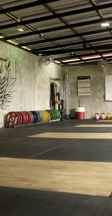 Open Gym