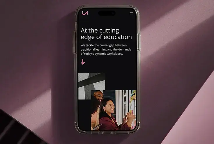 udamon web design