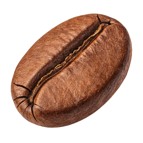 Coffee bean