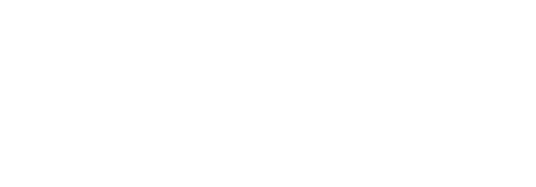 vefas logo white