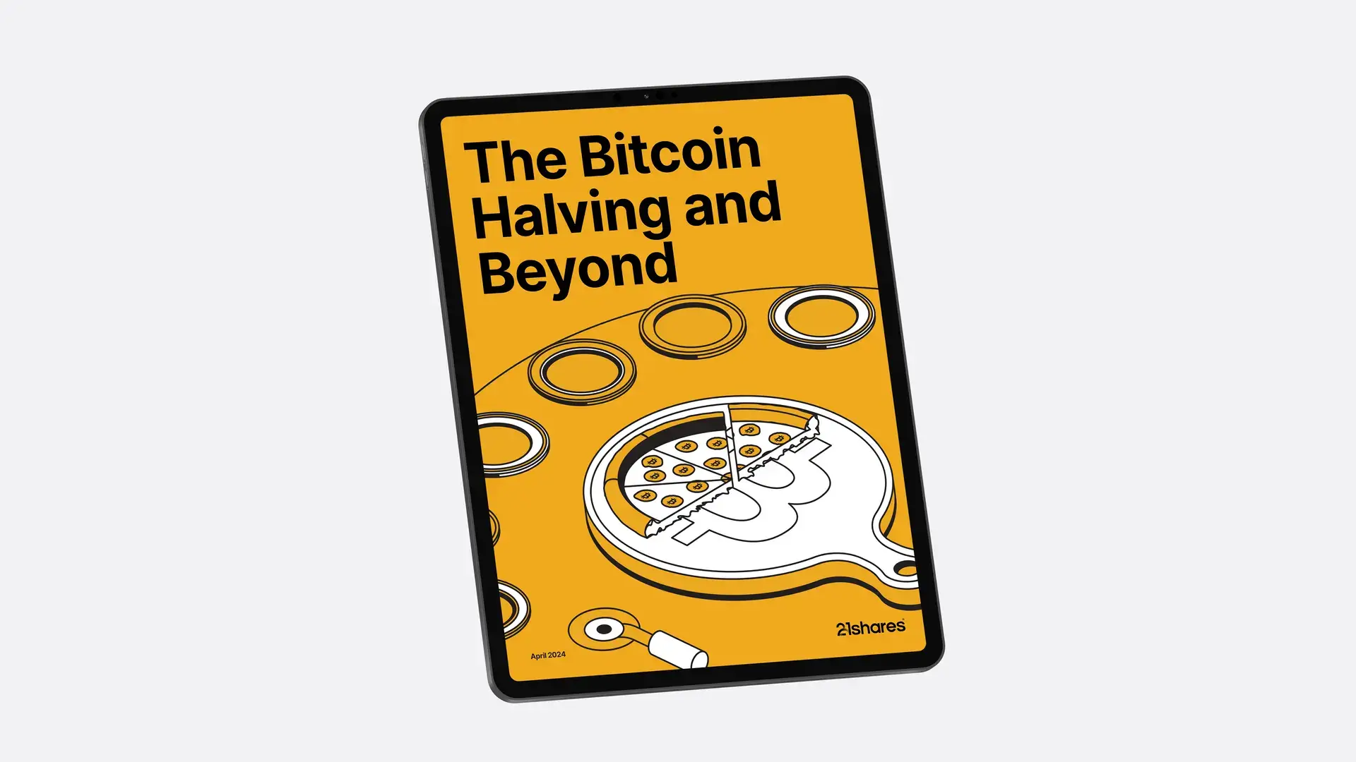 The Bitcoin Halving and Beyond