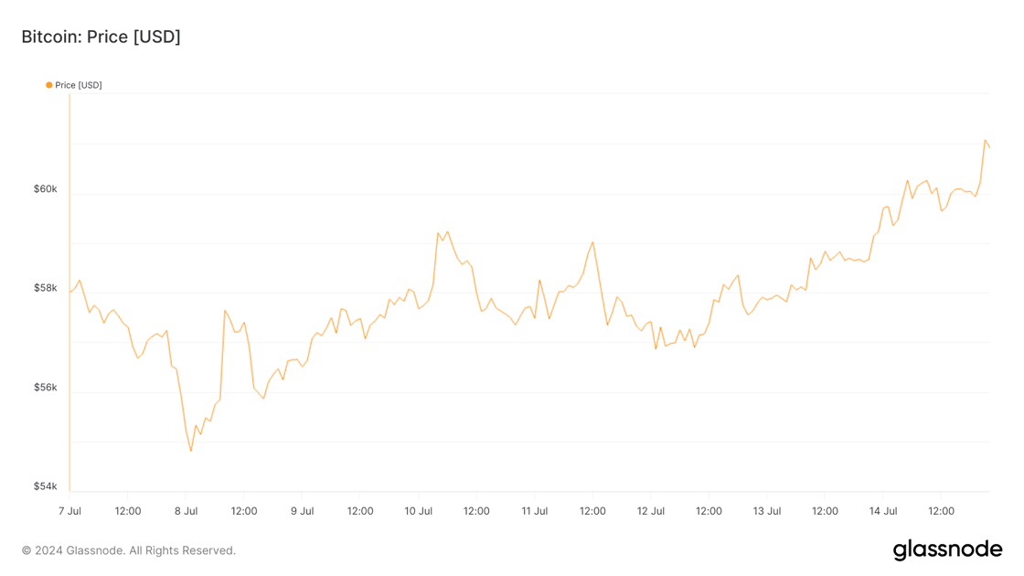 glassnode-studio_bitcoin-price-usd (9)