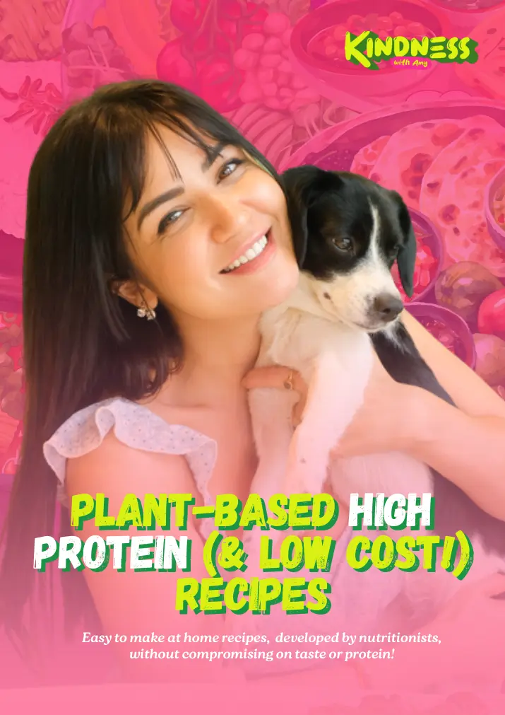 Plant-Based High Protein Recipe Book cover