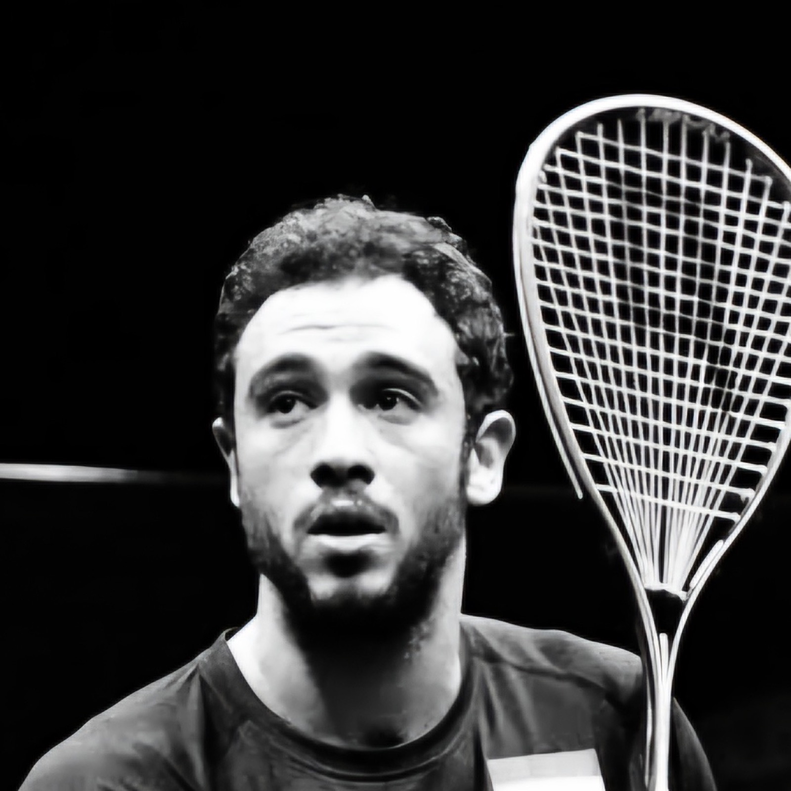 Ramy Ashour