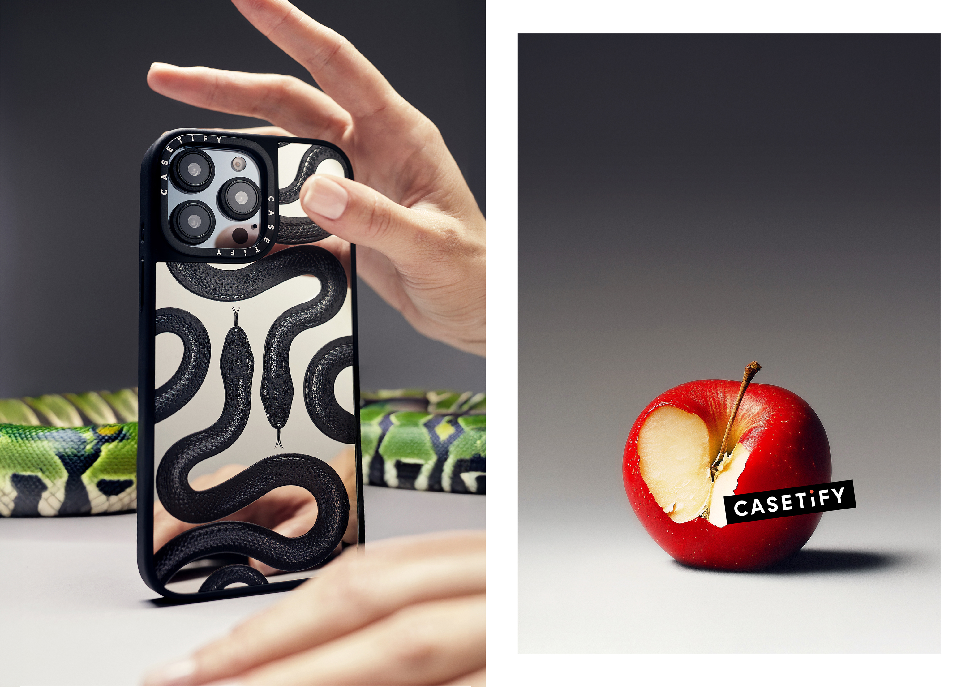 Benjamin Guillonneau – Nature Morte 1