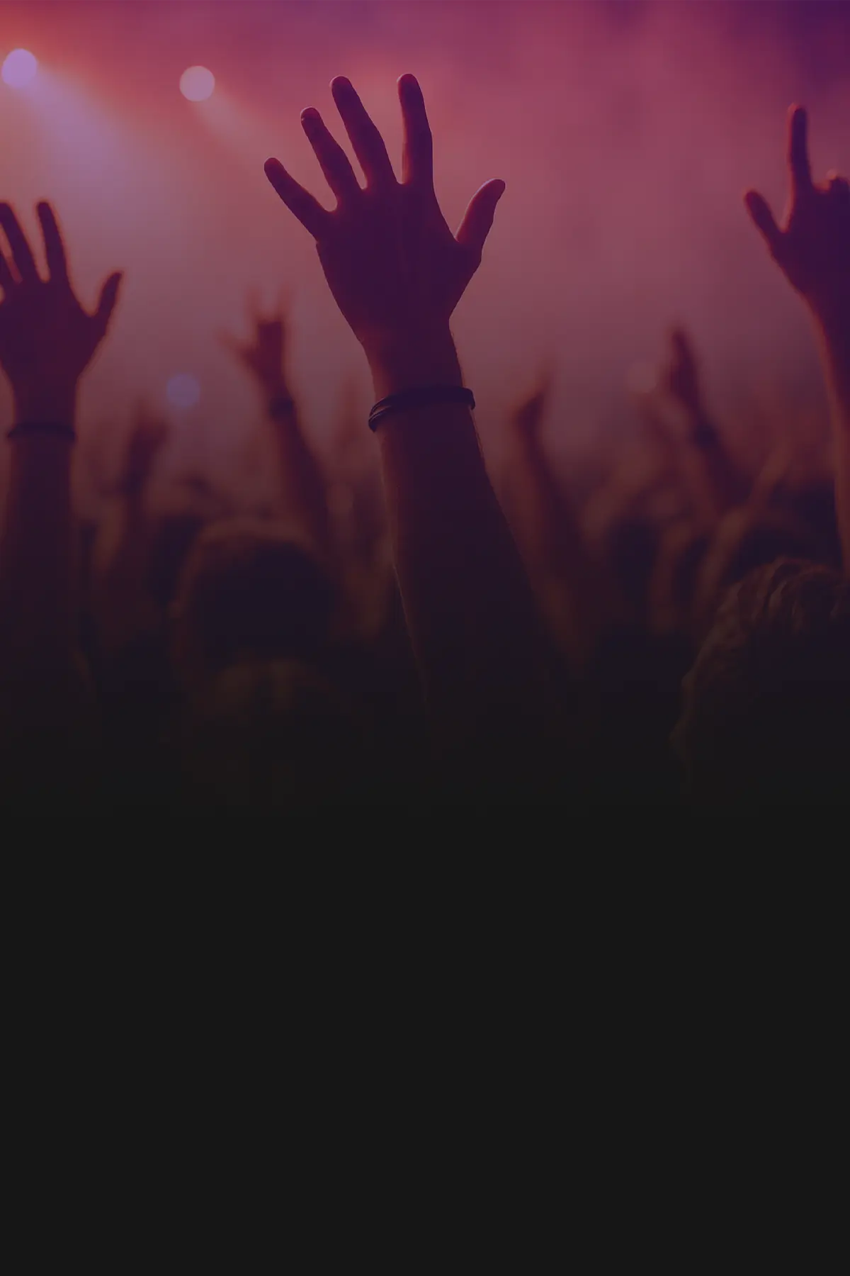 Hands celebrating in the air at a concert