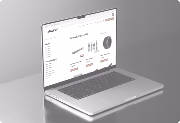 Shopify Projekt Bild 5