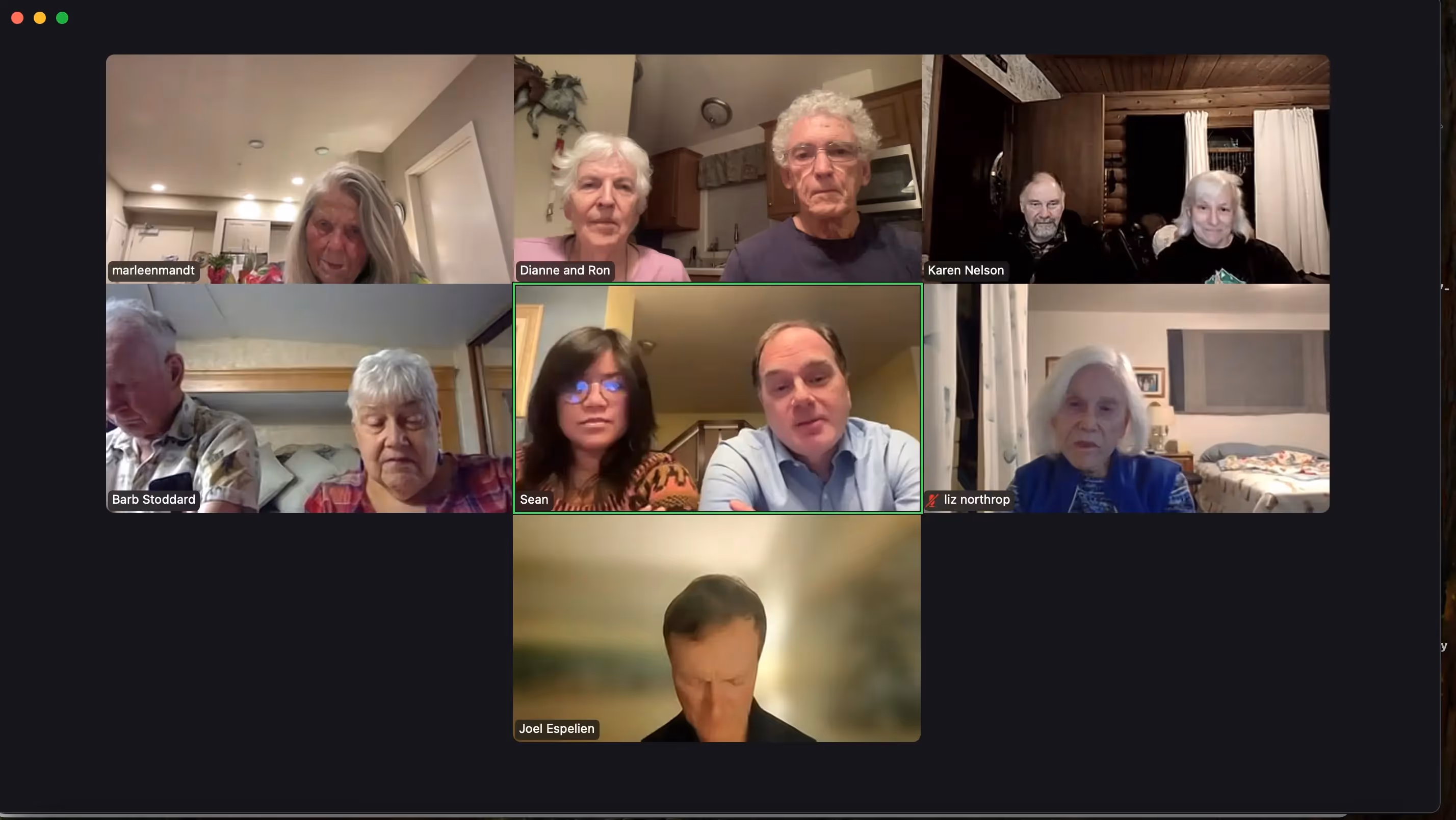 Group of adults participating in an online meeting via Zoom, each joining from their homes and appearing in separate video windows.