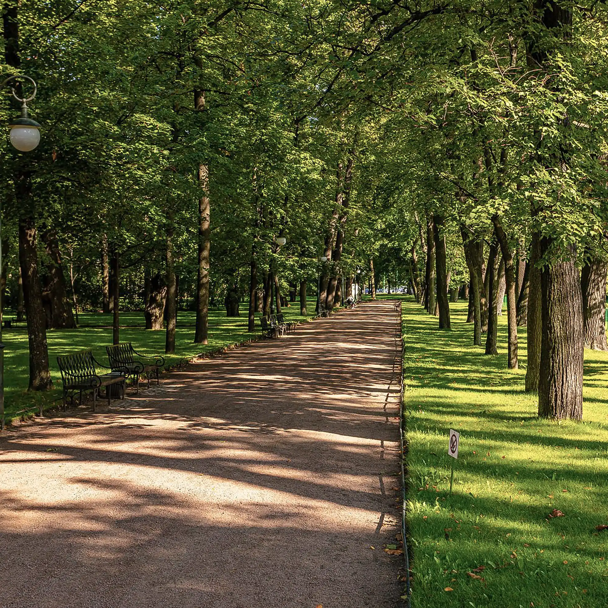 Ampla alameda de terra batida no Jardim Mikhailovsky sob iluminação solar plena em São Petersburgo. Árvores frondosas ladeiam o caminho projetando sombras sobre o solo claro, com bancos de ferro forjado e poste clássico à esquerda e gramado verde bem aparado estendendo-se à direita.