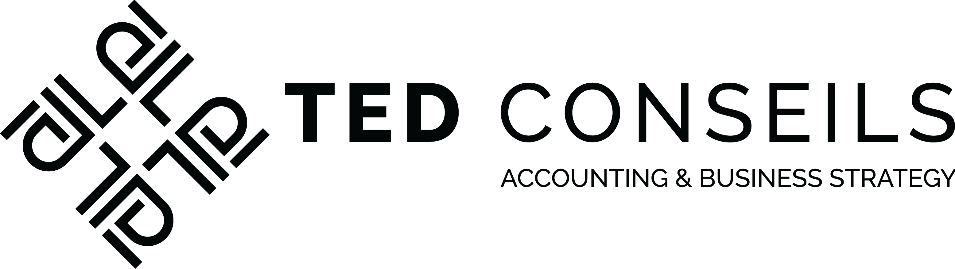 Logo of TED Conseils in English