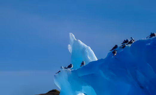 Sustainable solutions