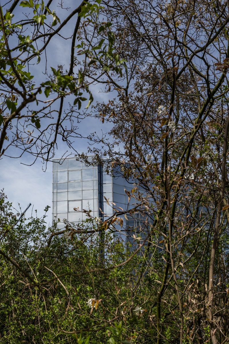 Ontwikkelingsfinanciering van € 18,1 miljoen voor project in Rotterdam - foto 6