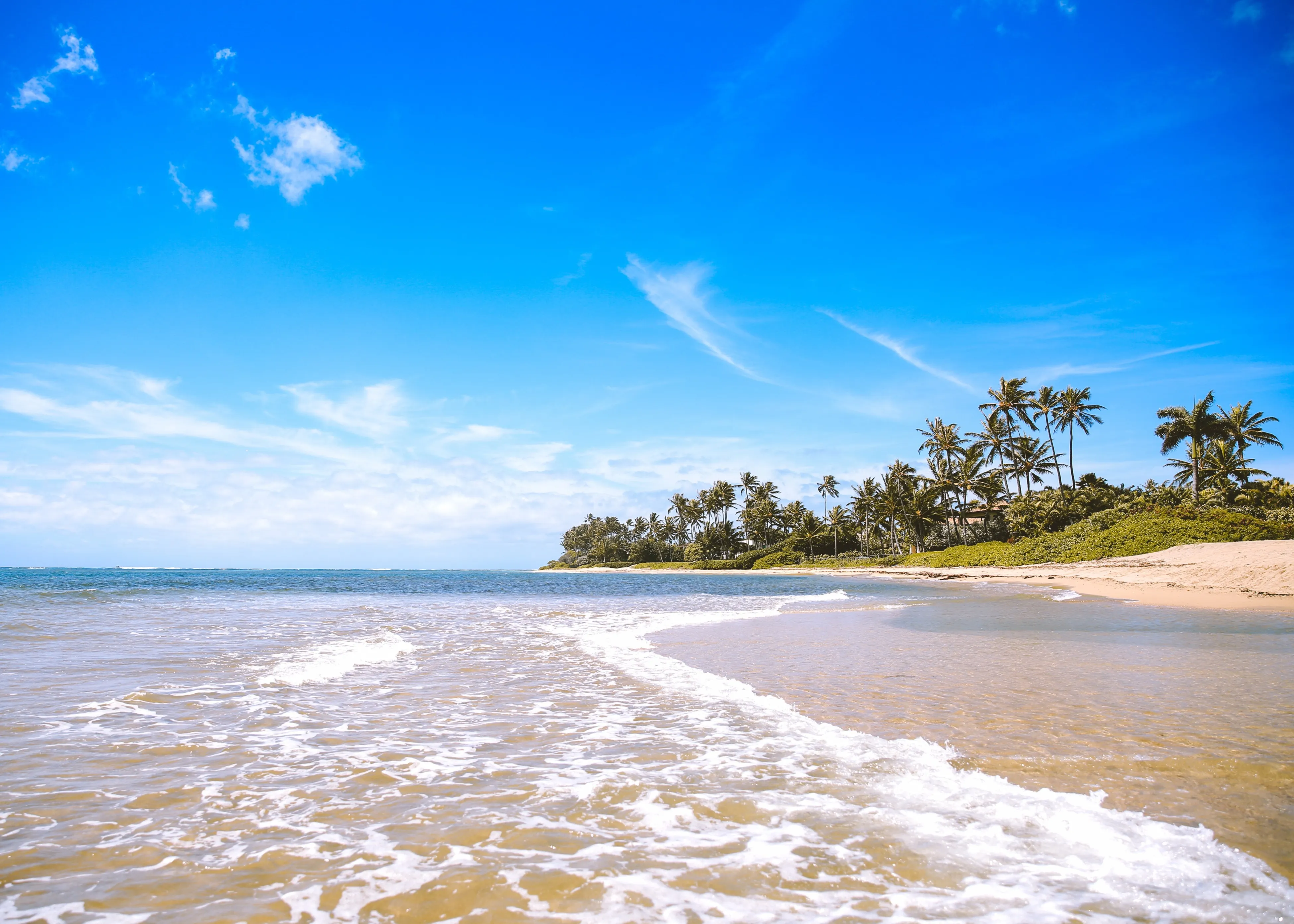 Gentle waves washing onto a sandy beach lined with palm trees under a bright blue sky.