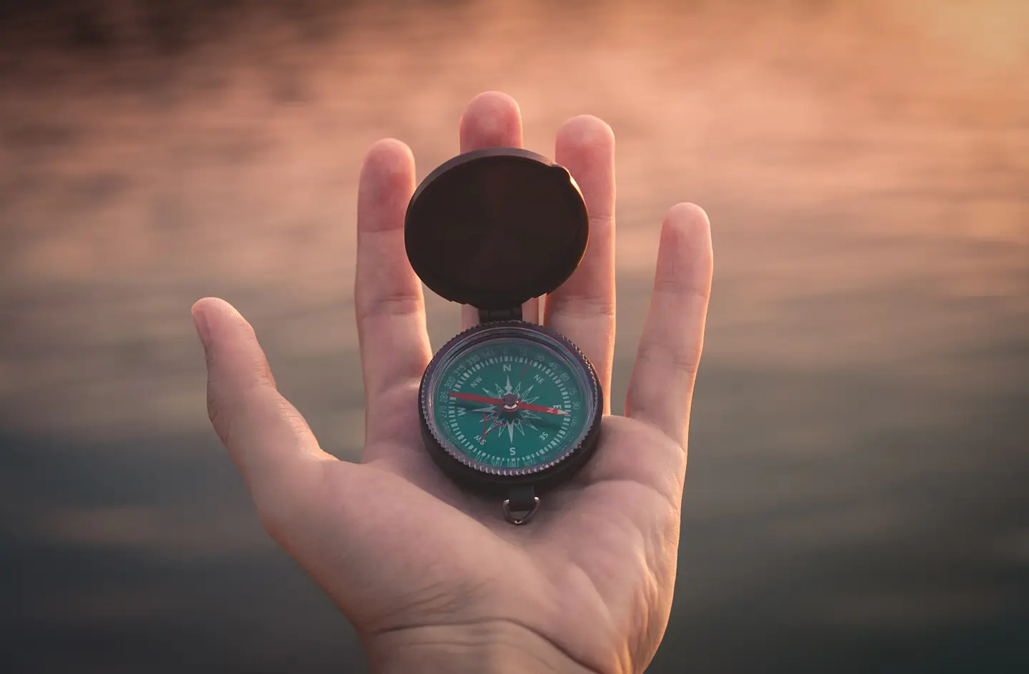 Using both a long and short term cash flow forecast means you know exactly where your business is going.