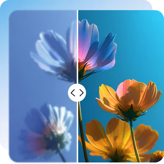 Comparison of flower photo clarity with one side blurry and the other side sharp and colorful under blue sky.