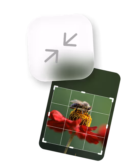 Close-up of a bee collecting nectar from a red flower, with cropping grid overlay and an icon showing inward arrows.