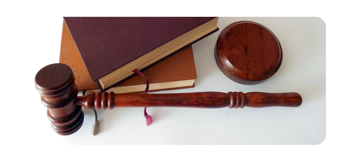 En lovbog der viser, hvad årsregnskabet for et ApS skal indeholde