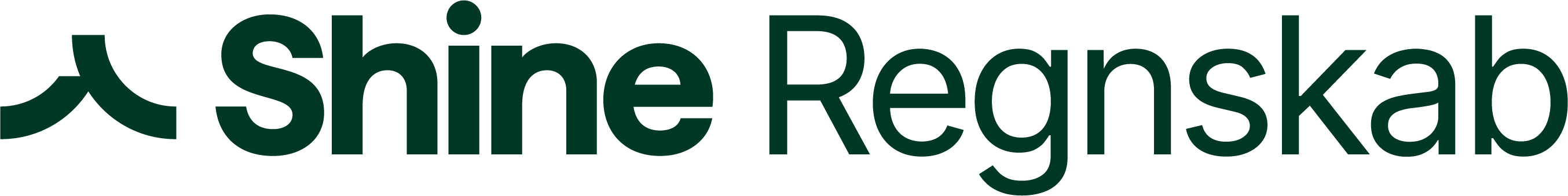 Shine Regnskab