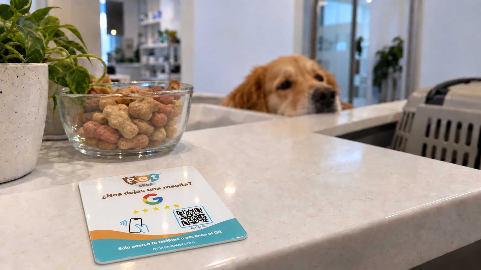 Placa NFC y QR de MaxReviewer sobre el mostrador de un negocio